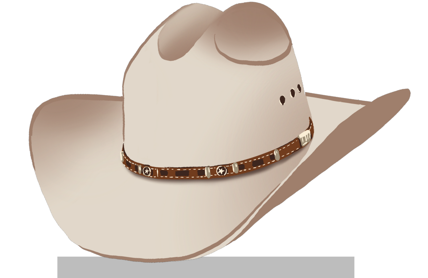 Stetson Cowboy Hat