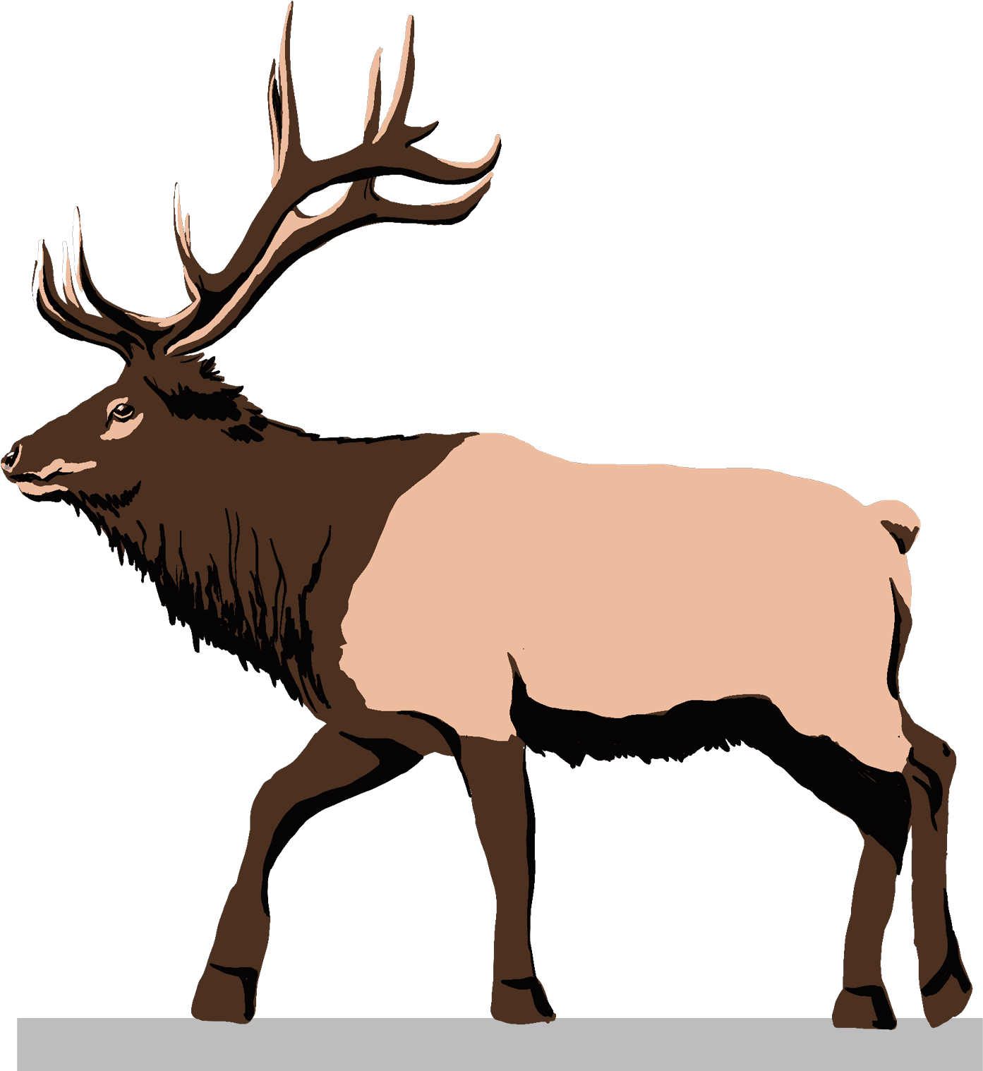 Elk