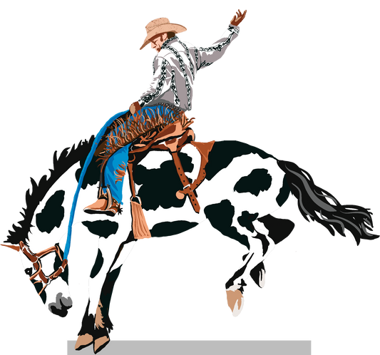 Male Rodeo Rider