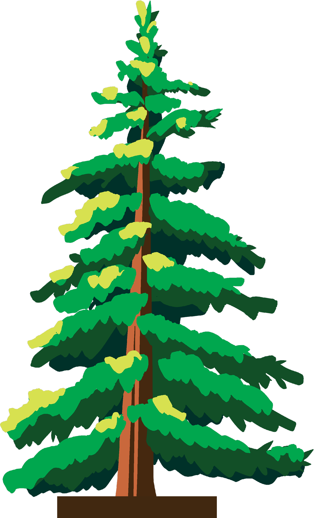 Alpine Evergreen - Summer