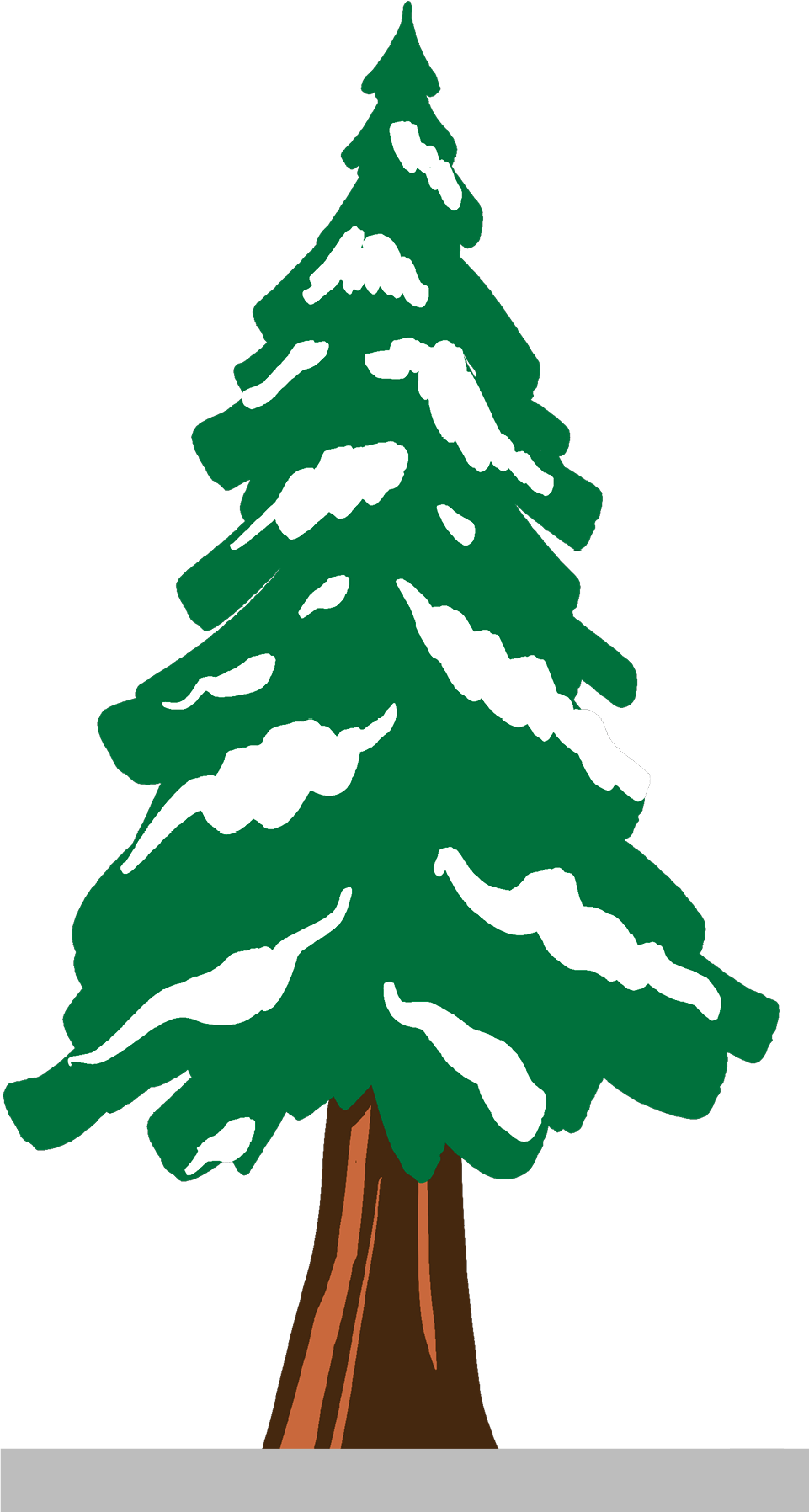 Alpine Evergreen
