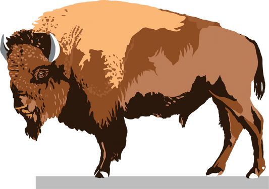 Buffalo