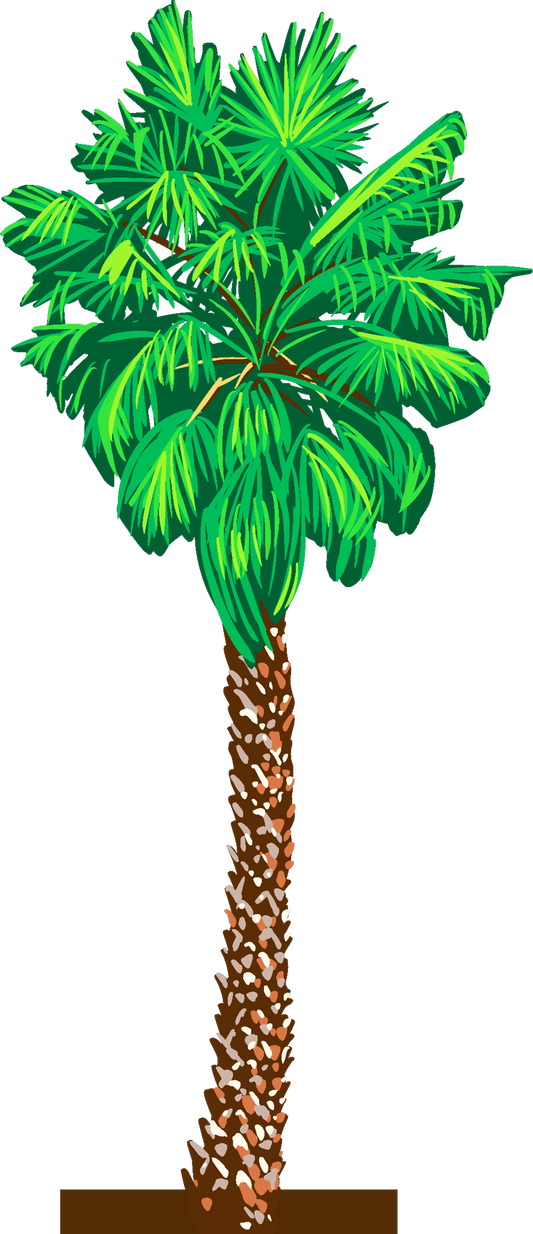 Palm Tree