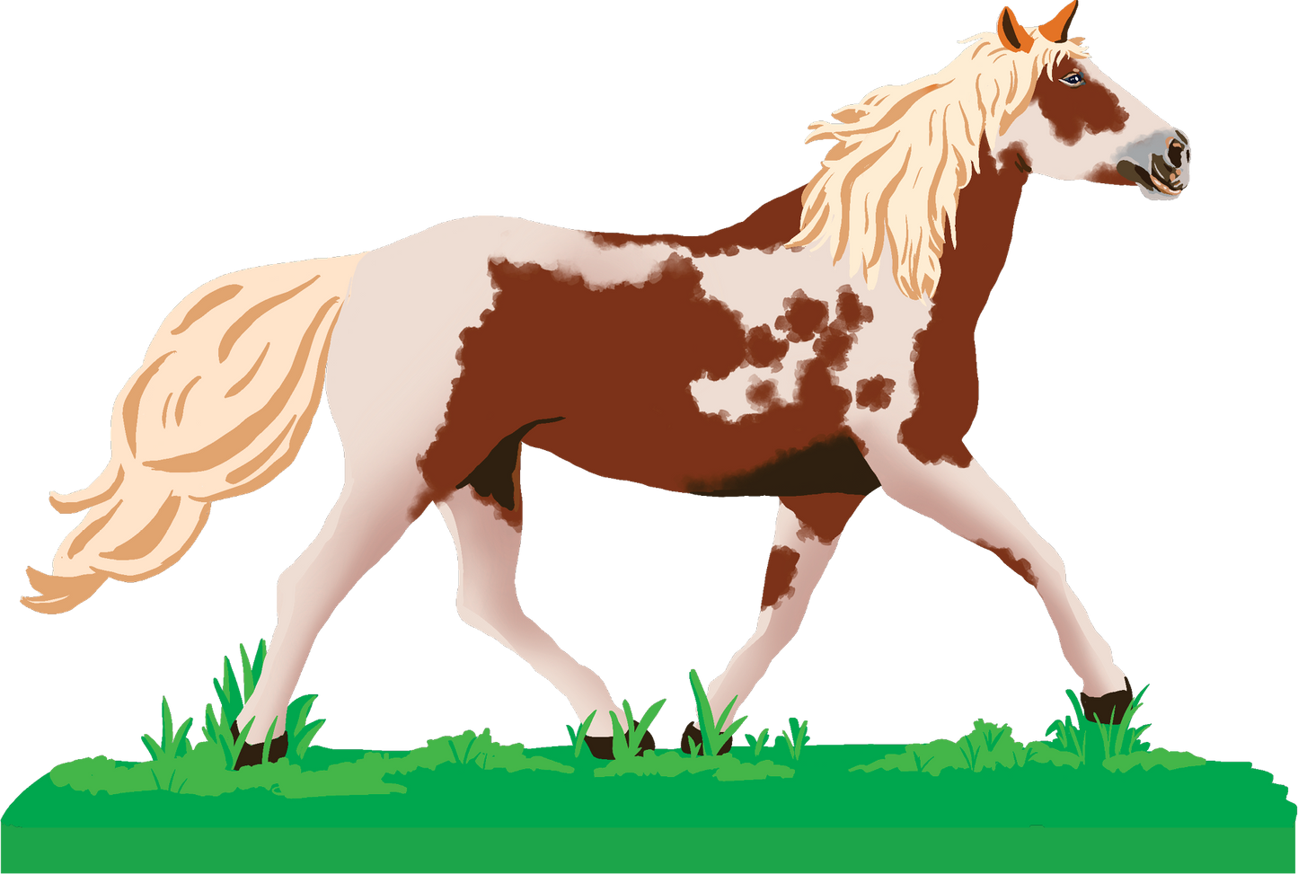 Ranch Horse