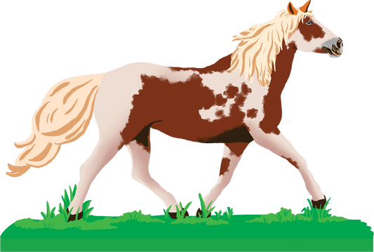 Ranch Horse