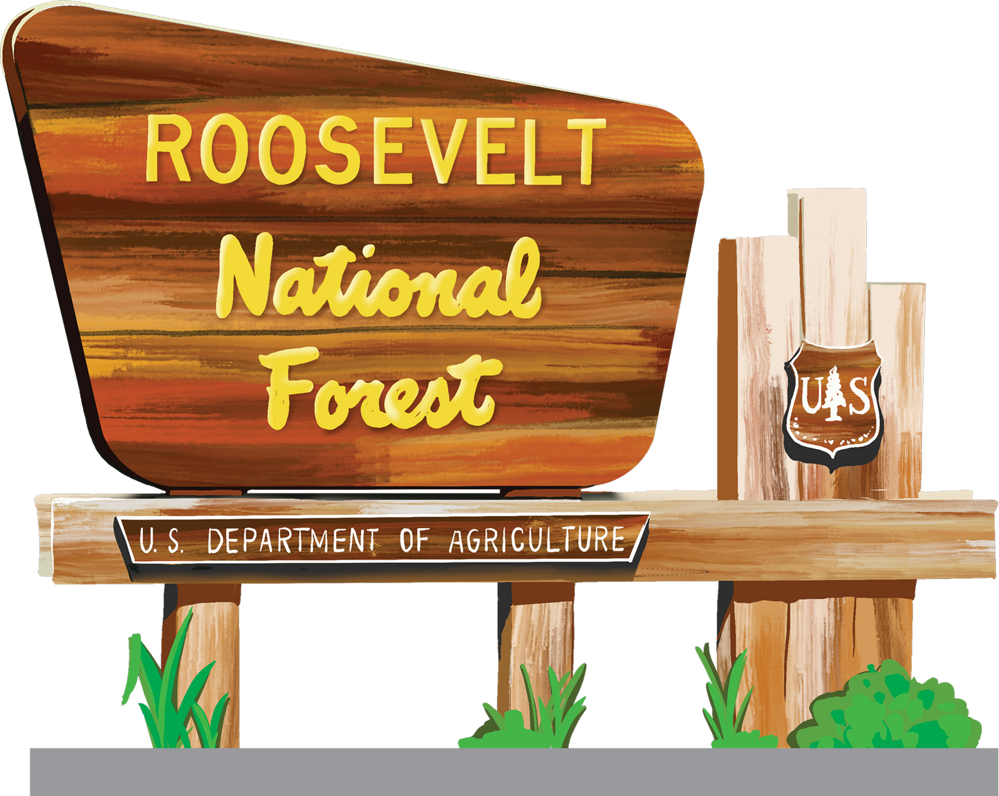 Roosevelt National Forest Entry Sign