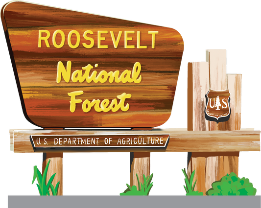 Roosevelt National Forest Entry Sign